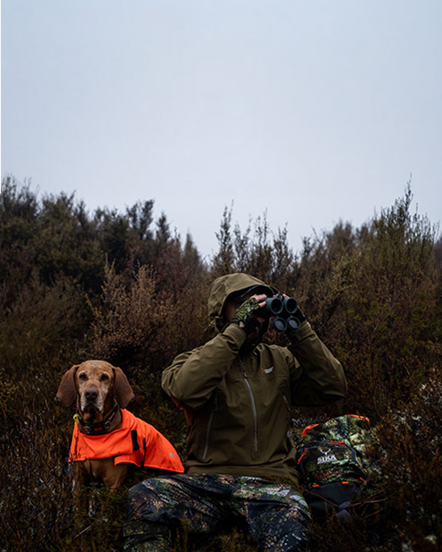 Dog Gear