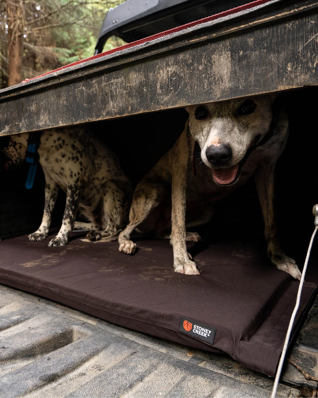Kennel Bed