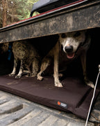 Kennel Bed