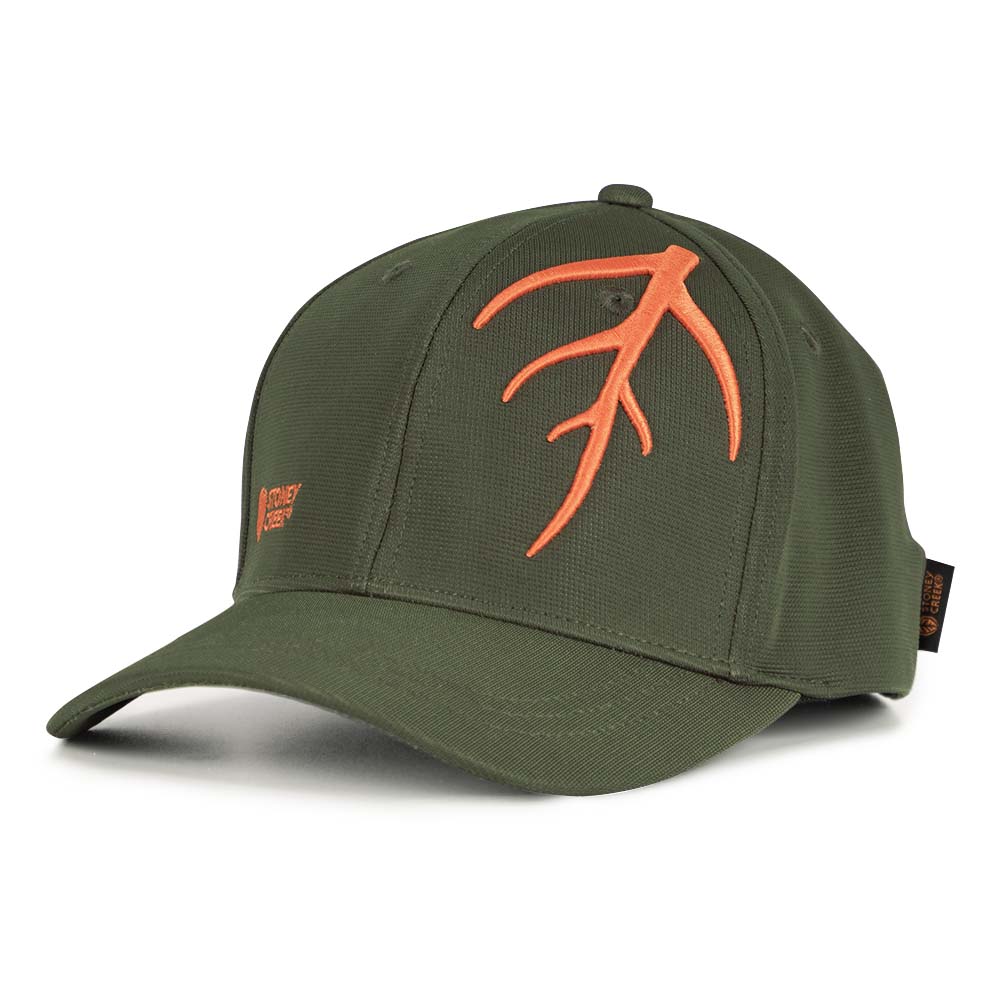 Vein Brand Cap - Bayleaf