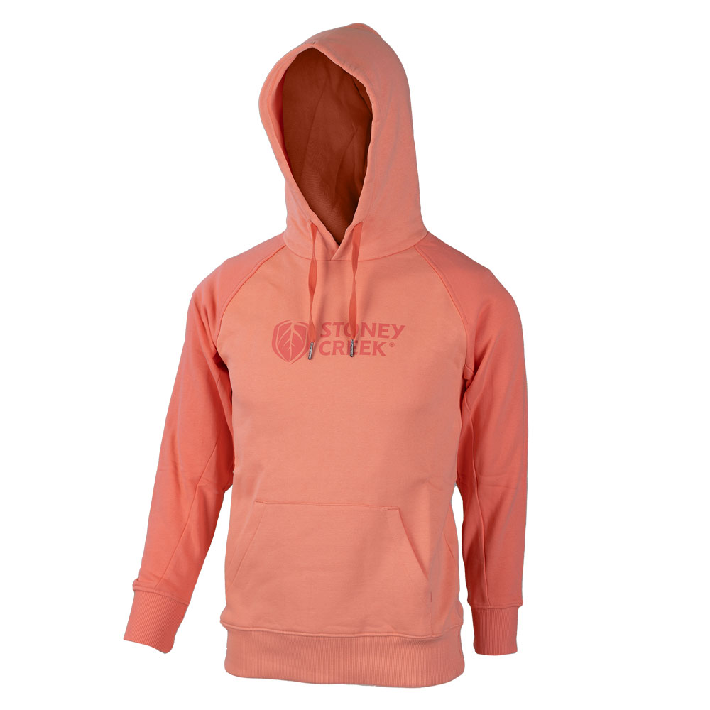 Kids Aspire Hoodie