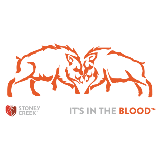 Boars Fighting Vinyl Decal - 350mm