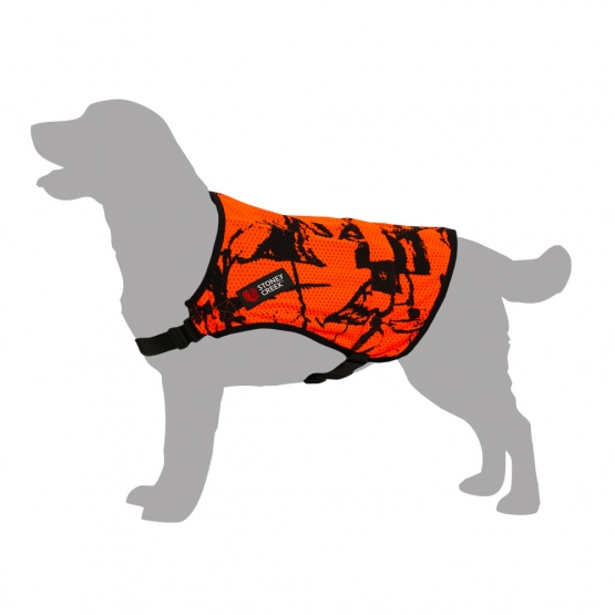 Dog Vest